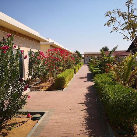 Almorouj Farm Inn - Bidiya Exterior foto
