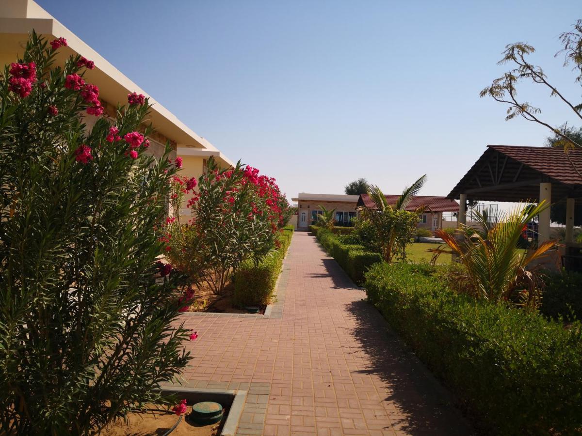 Almorouj Farm Inn - Bidiya Exterior foto